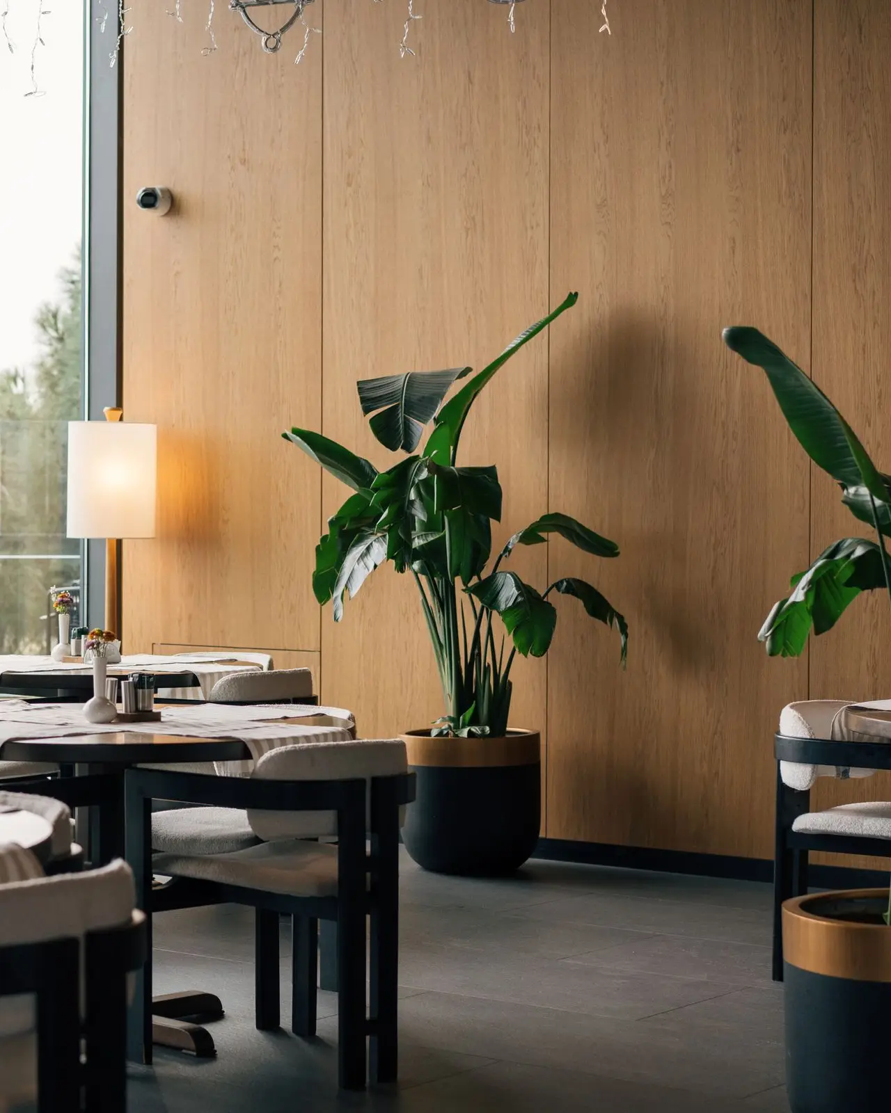 Restaurant interior with full-height timber wall panelling, dining chairs and large indoor plants